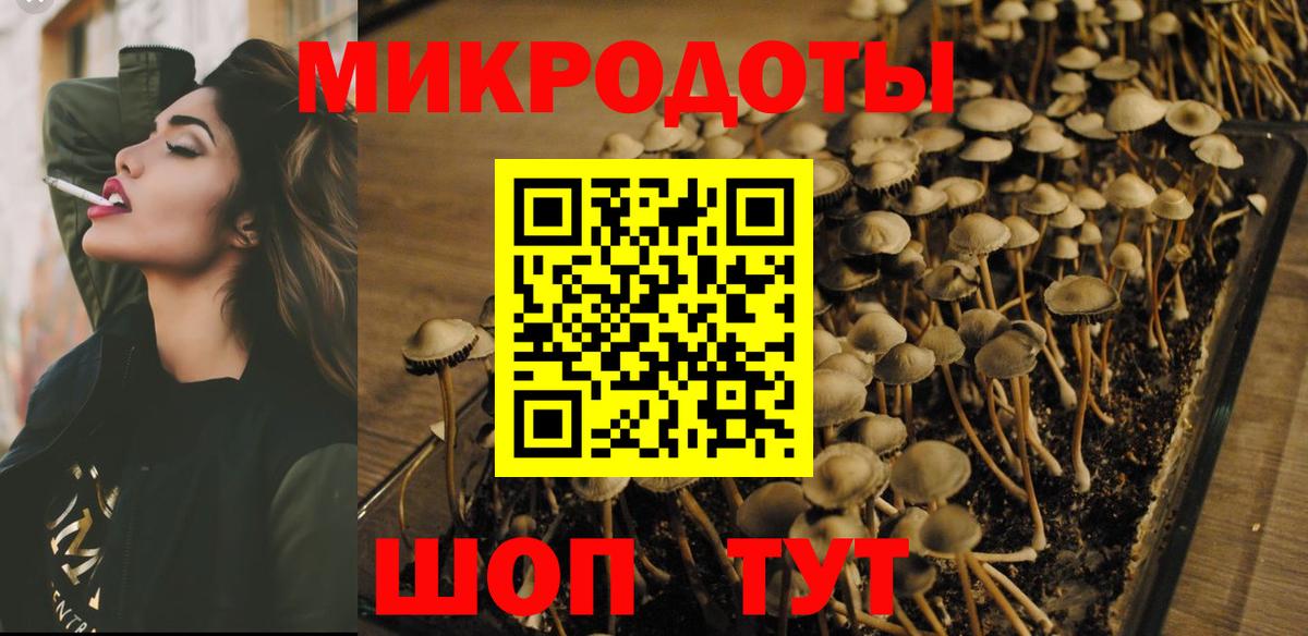 Псилоцибиновые грибы мицелий  Галлюциногенные грибы MAGIC MUSHROOMS  Свободный  Вход с VPN 