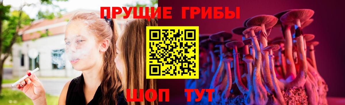 Галлюциногенные грибы Cubensis Свободный